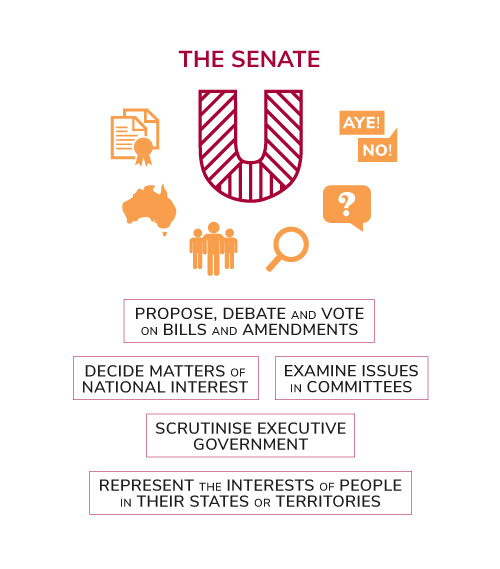 Infographic of role of the Senate