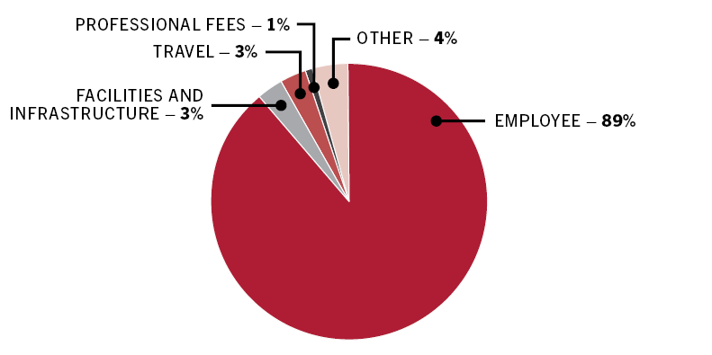 Figure 18: Expense by type 2018–19