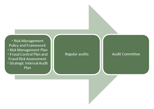 Figure 4 - Risk oversight and management