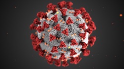 Electron microscopic view of Coronavirus