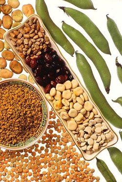 A selection of various legumes.