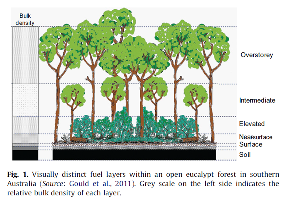 Diagram: Visually distinct fuel layers within an open eucalypt forest in southern Australia