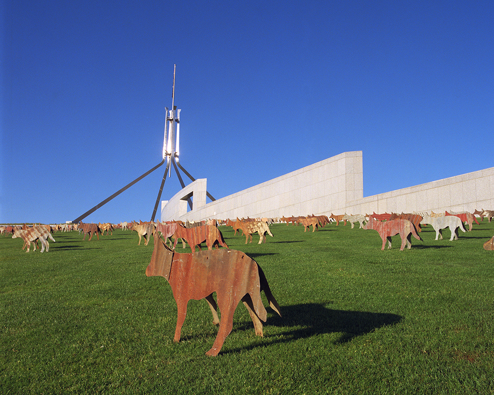 Artist Ingo Kleinert installs his 'The eye of the dog' exhibit on Parliament House's front lawn, to herald the Canberra National Sculpture Forum, Image source: AUSPIC
