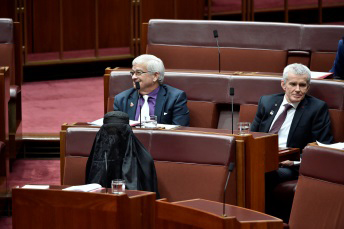 Senator Pauline Hanson wears a burqa into Question Time, Image source: AUSPIC