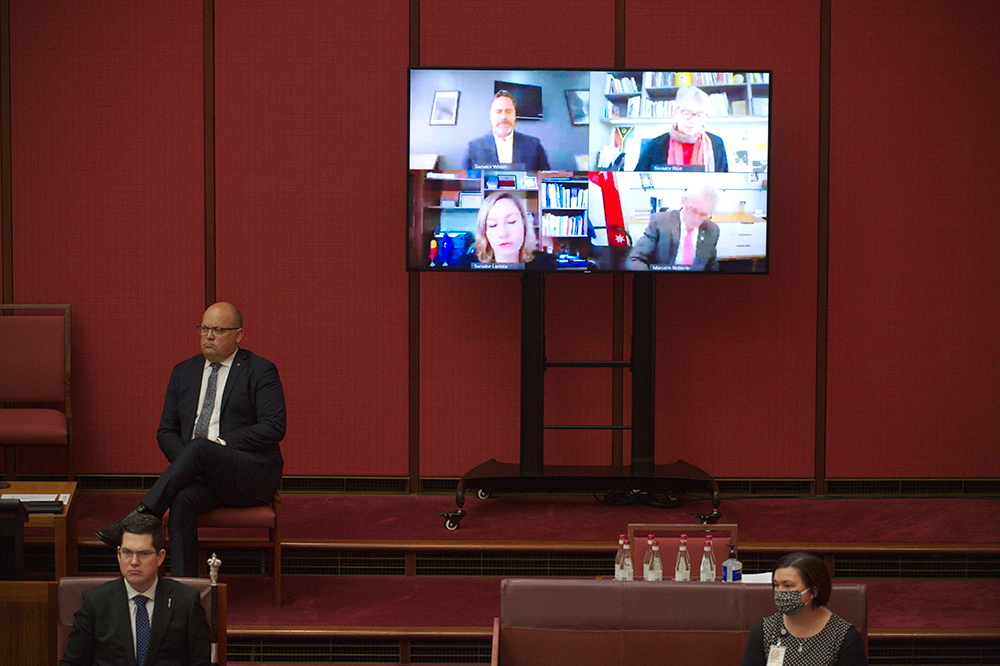 Senators participating in proceedings via video link, Image source: AUSPIC
