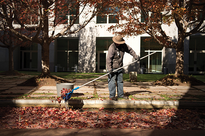 A gardener helps keep the internal courtyards pristine during autumn leaf-fall.