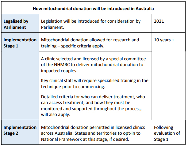 proposed two-stage process for the introduction of mitochondrial donation