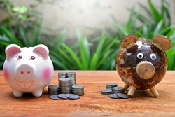 Piggy banks with coins money saving concept