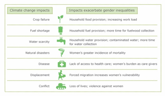 table showing gender-differentiated impacts of climate change