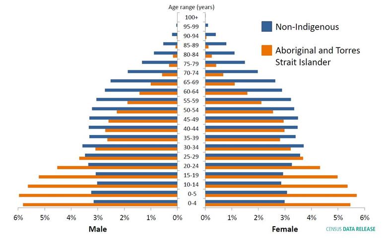 Census 2016 summary of results: Indigenous