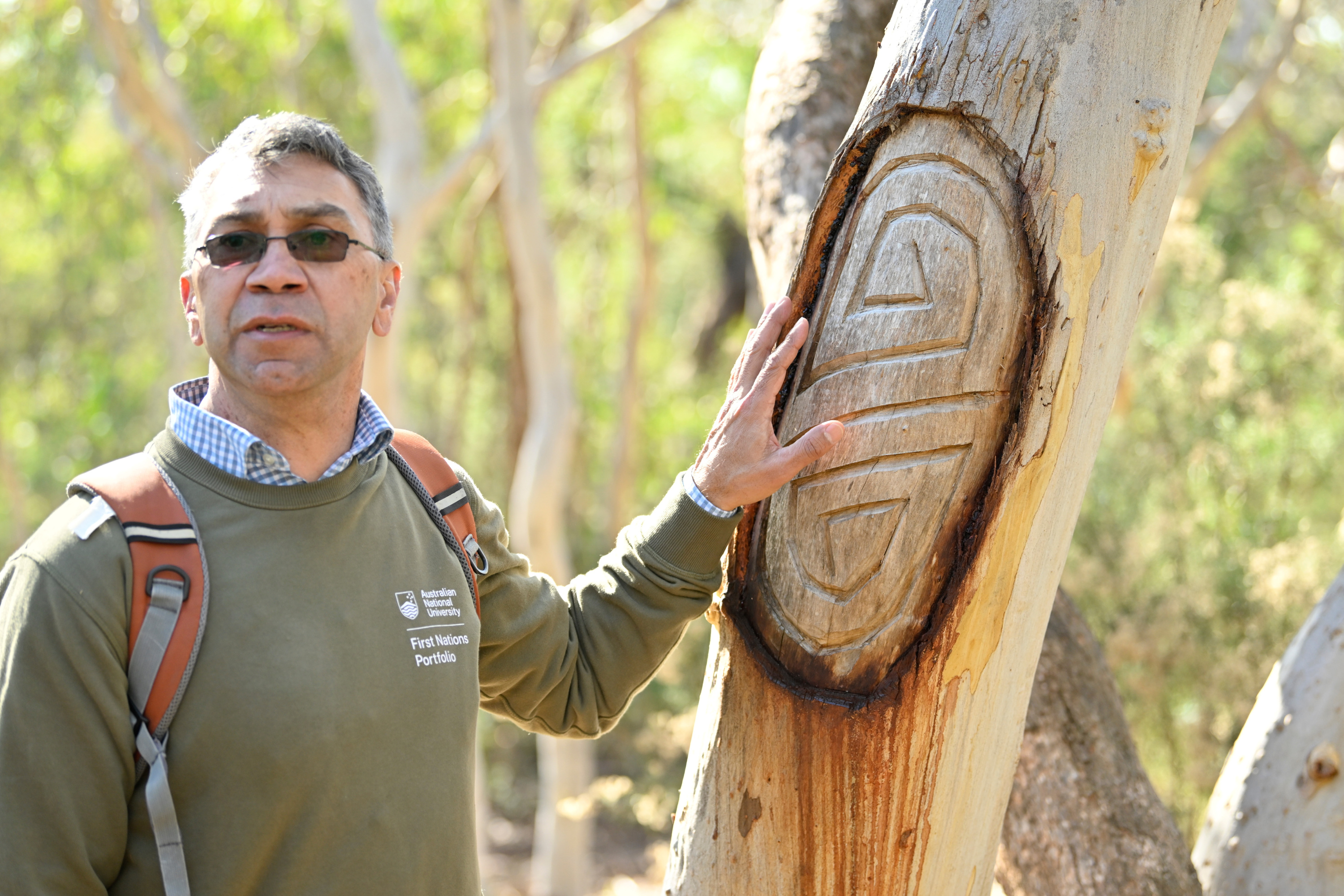 Paul Girrawah House, Ngambri and Ngunnawal Custodian cutting a coolamon, showing the scarring