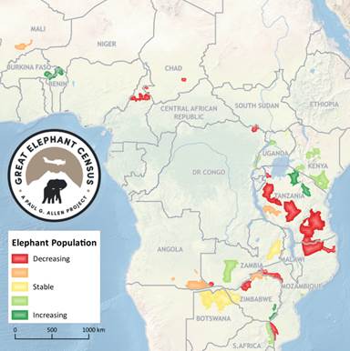 Figure 2: Elephant population trends across Africa over the past ten years based on Great Elephant Census data and comparable previous survey