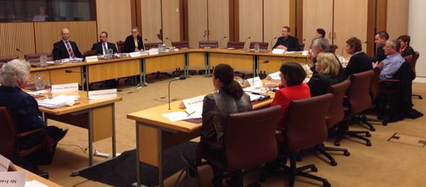 Mental health advocates, services groups, and experts spoke at the committee's public hearing in Canberra on 26 August 2015.