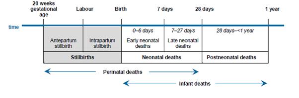 Figure 4.1: Perinatal death periods for reporting in Australia