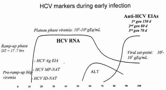 HCV markers during early infection